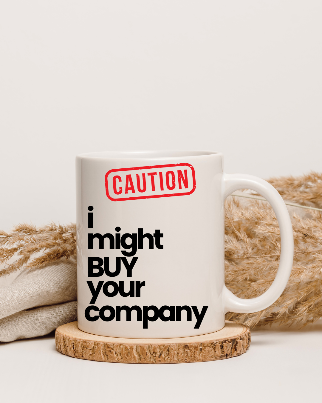 Caution: I Might Buy Your Company – The Bold Boss Mug